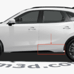 فلاپ در عقب چپ لاماري